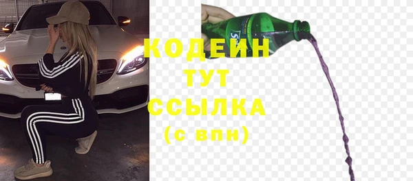гашик Аркадак