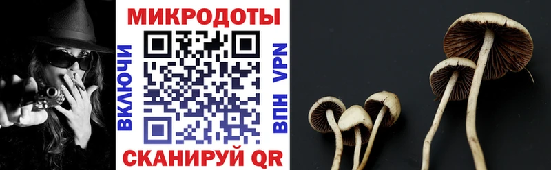 купить наркоту  Урюпинск  Псилоцибиновые грибы GOLDEN TEACHER 