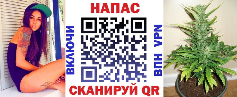 mega онион  Урюпинск  Бошки марихуана Amnesia 